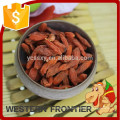 Purely natural free of polluttion thick sweet goji berry